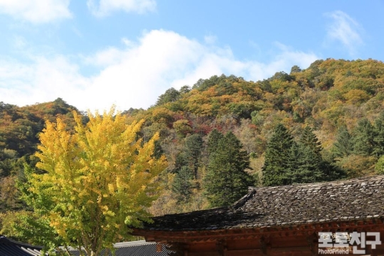 雪岳山百潭寺的秋天【组图】