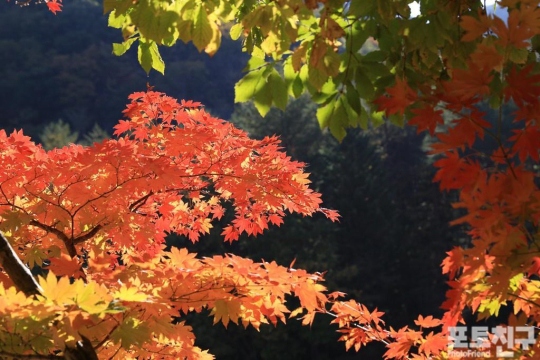 雪岳山百潭寺的秋天【组图】