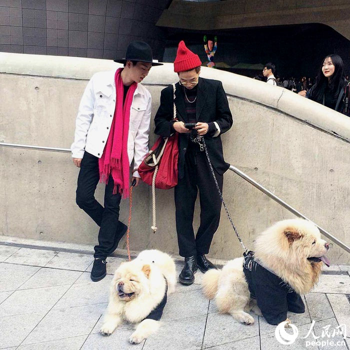 2016首尔时装周 看街头潮人玩转时尚【组图】