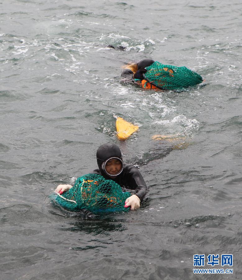 （国际）（4）走进韩国海女的世界