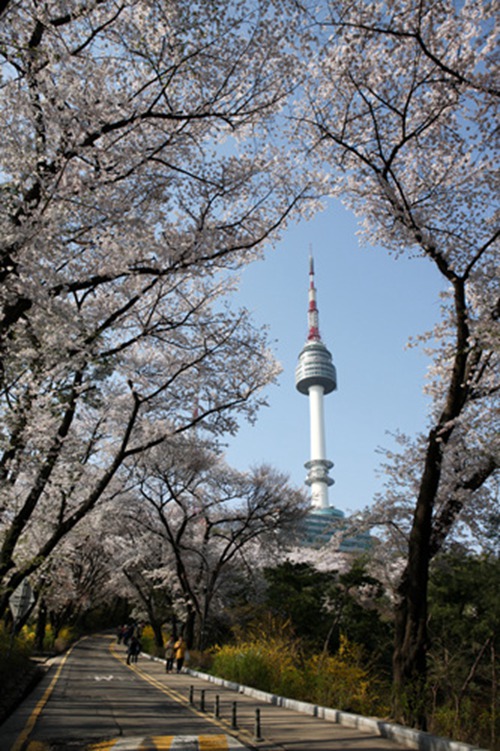 迎韩国旅游年去韩国赏美景吃美食首尔篇