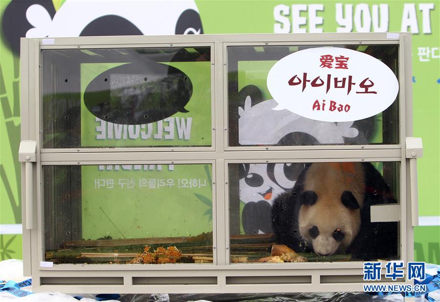 （国际）（1）两只大熊猫安全抵达韩国