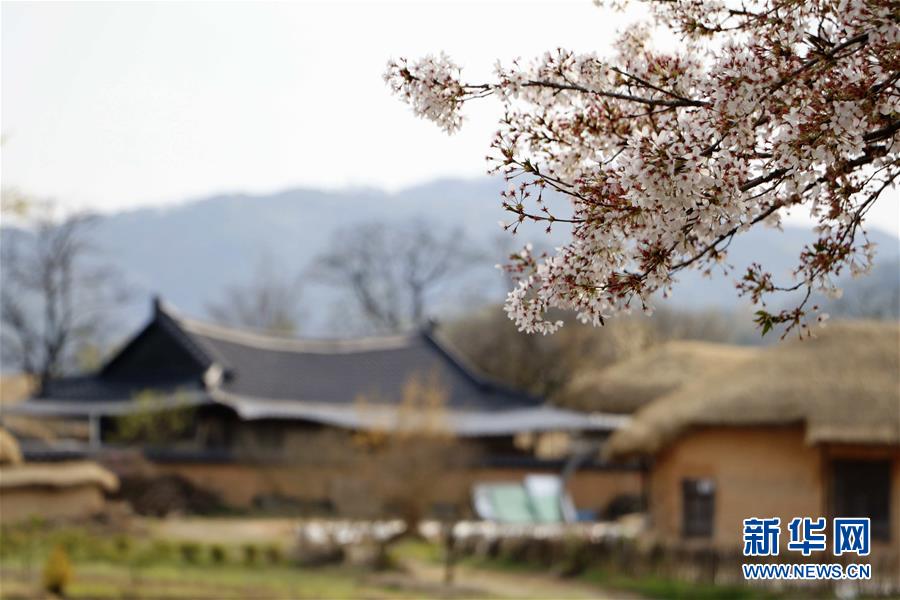 （国际）（1）探访世界文化遗产：韩国安东河回村