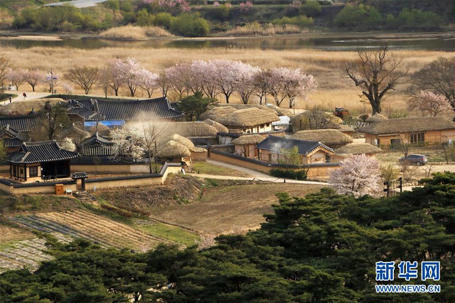 （国际）（5）探访世界文化遗产：韩国安东河回村
