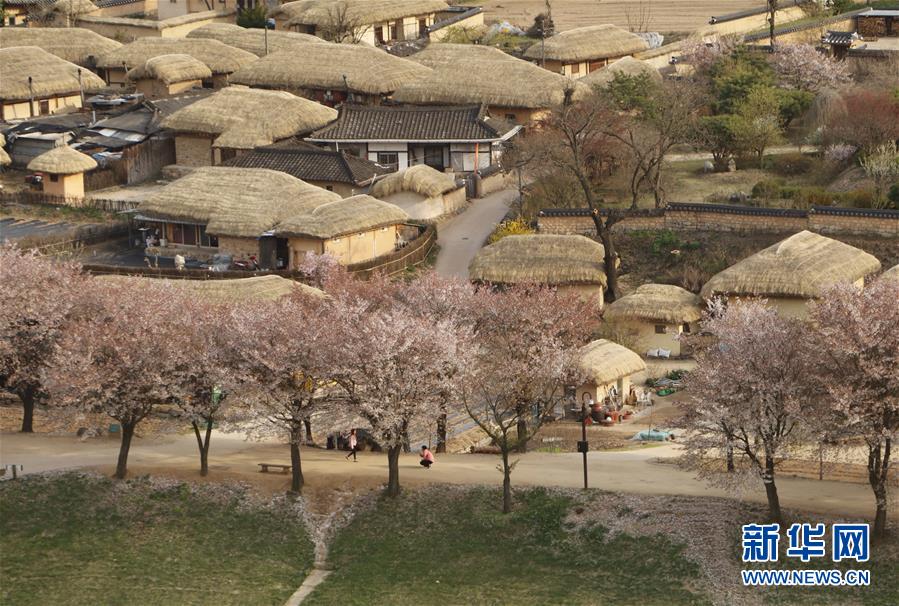 （国际）（4）探访世界文化遗产：韩国安东河回村