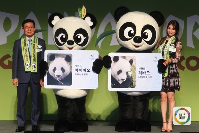 大熊猫爱宝和乐宝如何萌翻韩国?