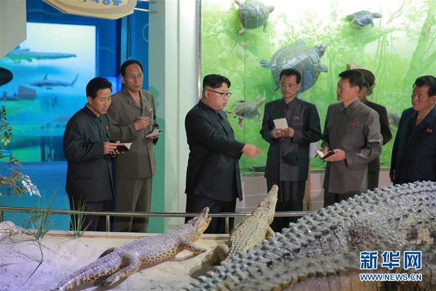 （XHDW）（2）金正恩視察即將完工的朝鮮自然博物館