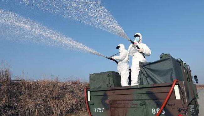 韓國禽流感疫情蔓延 海軍士兵參與消毒工作