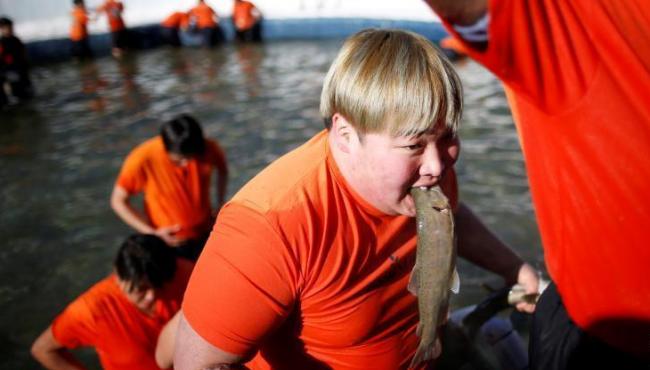 韓國“山鱒魚冰雪節”場面壯觀 民眾咬活魚激動不已