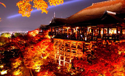 日本代表性景点（三）