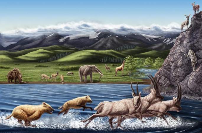 시짱 아리서 400여만년 전 하이에나 화석 발견