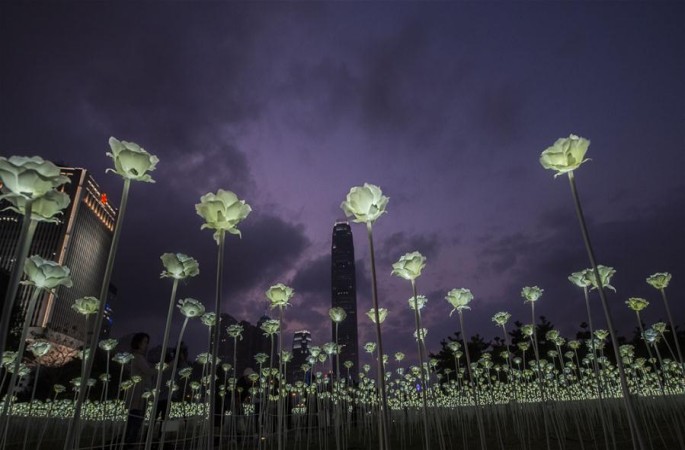 ‘발렌타인데이’ 홍콩 빅토리아 항 장미꽃등불로 밝아