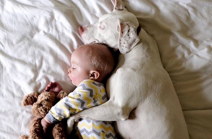 초 치유계 사진: 멍멍이와 아이가 함께 자는 모습