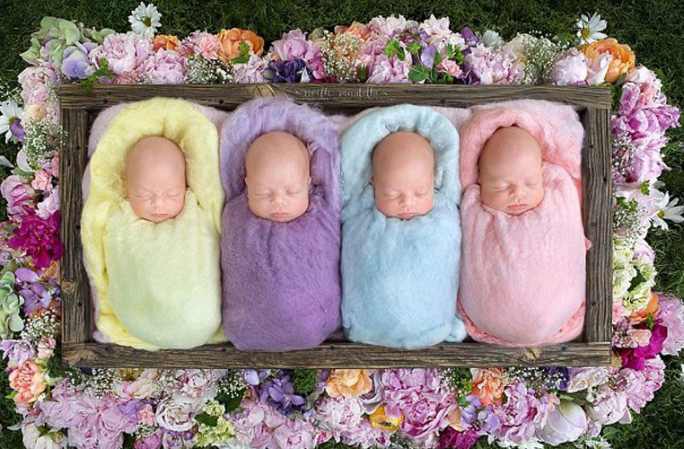 캐나다 1500만 분의 1 확률 네쌍둥이 태어나, 너무 귀여워