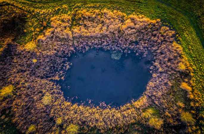 공중 촬영, 덴마크 삼림의 놀라운 ‘모습’