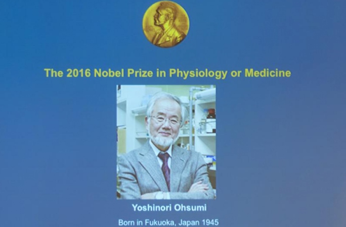 일본 과학자 오스미 요시노리, 2016년 노벨 생리의학상 수상