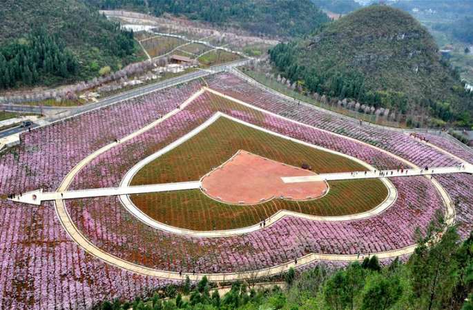 하트 모양의 꽃바다