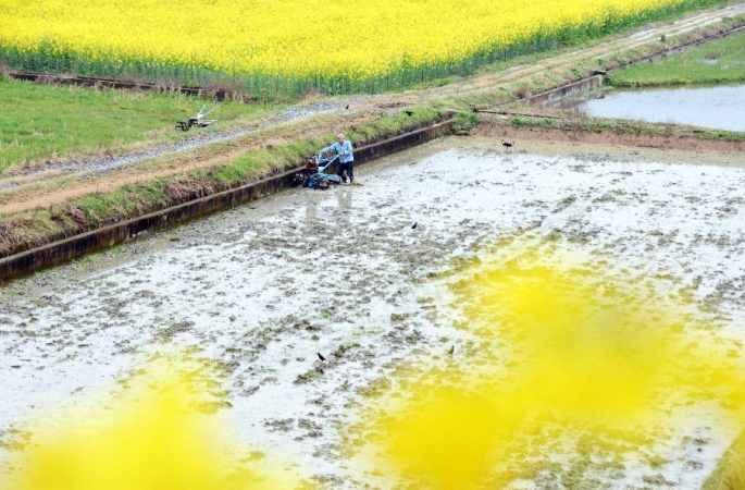 봄기운에 농사일 바빠