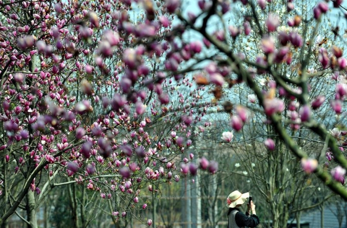 봄날 꽃바다 손님 맞아