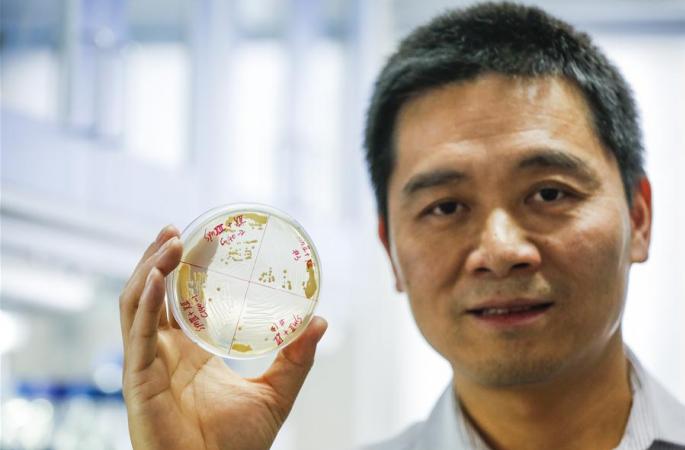 중국 과학자 화학물질 이용해 완전한 활성염색체 합성