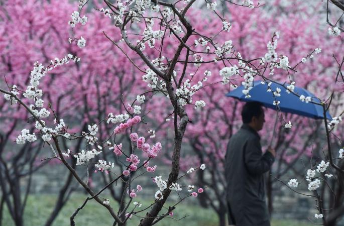 베이징,봄비가 봄눈으로