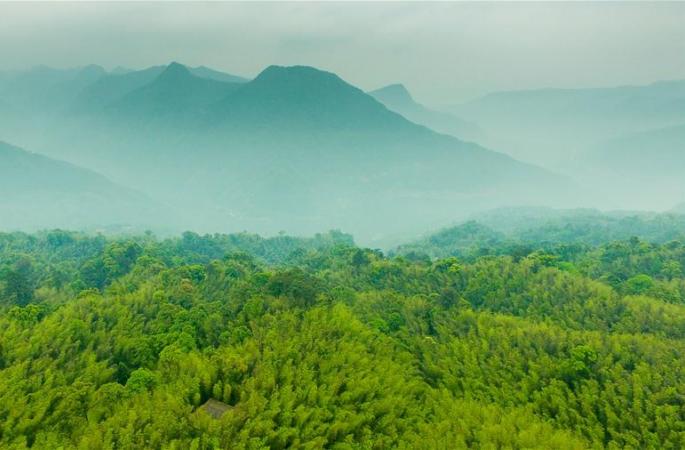 공중에서 부감한 주하이