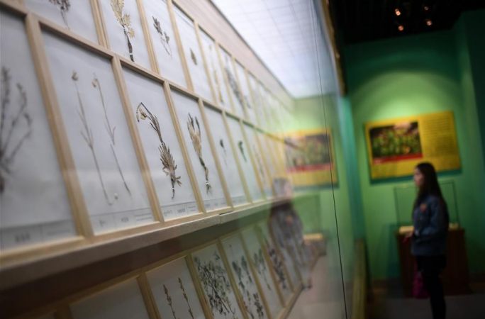 중국 짱의약문화박물관 탐방기