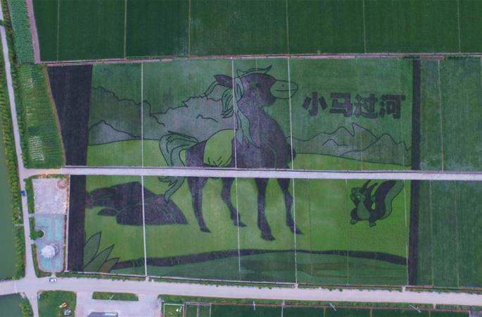 저장 루이안:&lsquo;망아지가 강을 건너다&rsquo;논밭그림 선보여