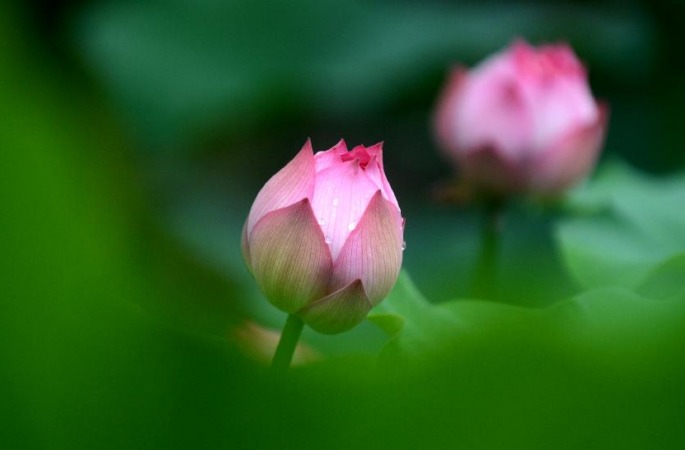 장쑤 양저우, 가을을 알리는‘백로’