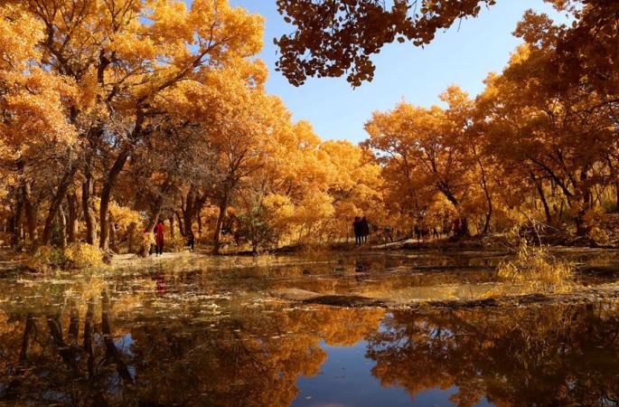 그림 같은 만추의 풍경