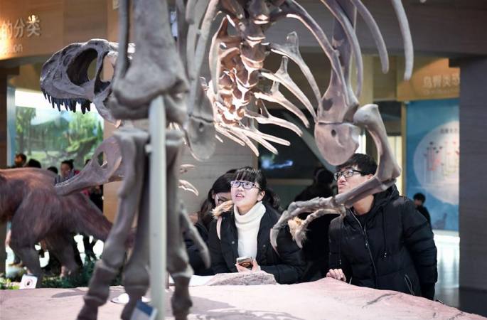 허페이: 박물관서 지식 함양