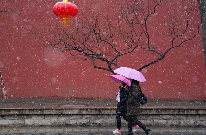 봄 눈을 맞은 베이징