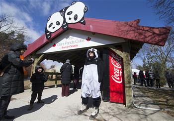 토론토 동물원 ‘팬더 작별식’ 열어