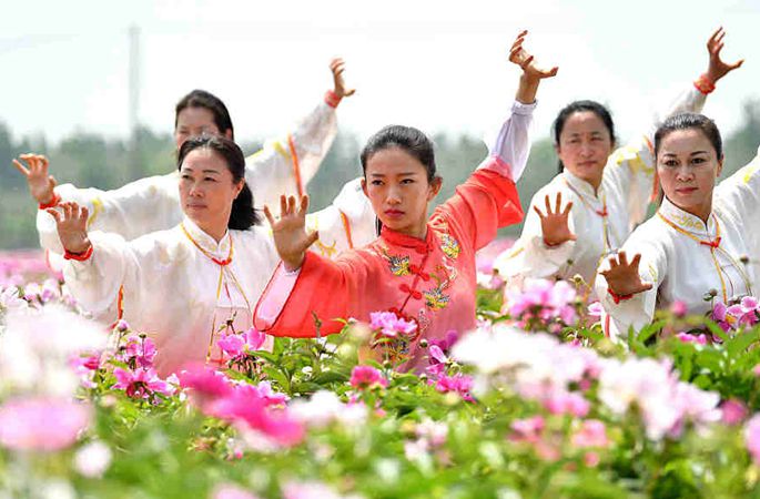 안후이 보저우: 작약 재배기지에서 건강체조 선보여
