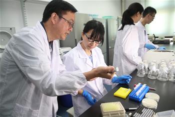 인공 단일염색체 진핵세포 성공적으로 개발...中 합성생물학 연구의 신시대 열어