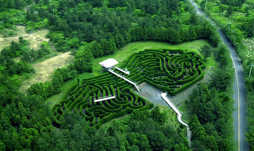 金宁迷宫公园克里特迷宫的现代版